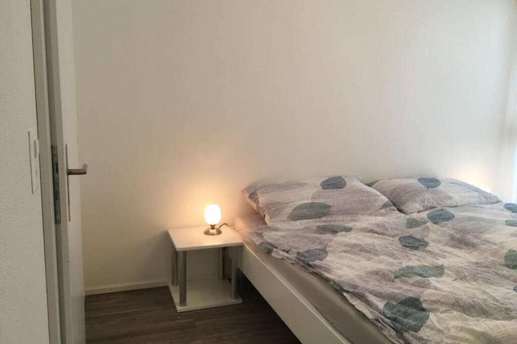 Modern Apartment 모던 펜션 Интерлакен Экстерьер фото