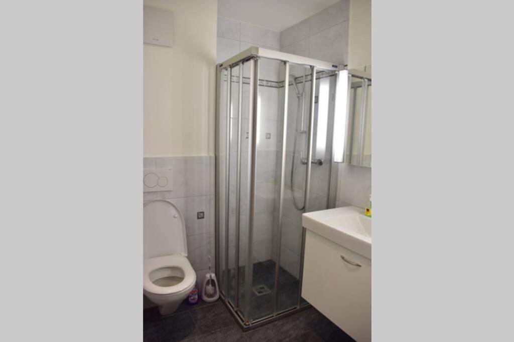 Modern Apartment 모던 펜션 Интерлакен Экстерьер фото